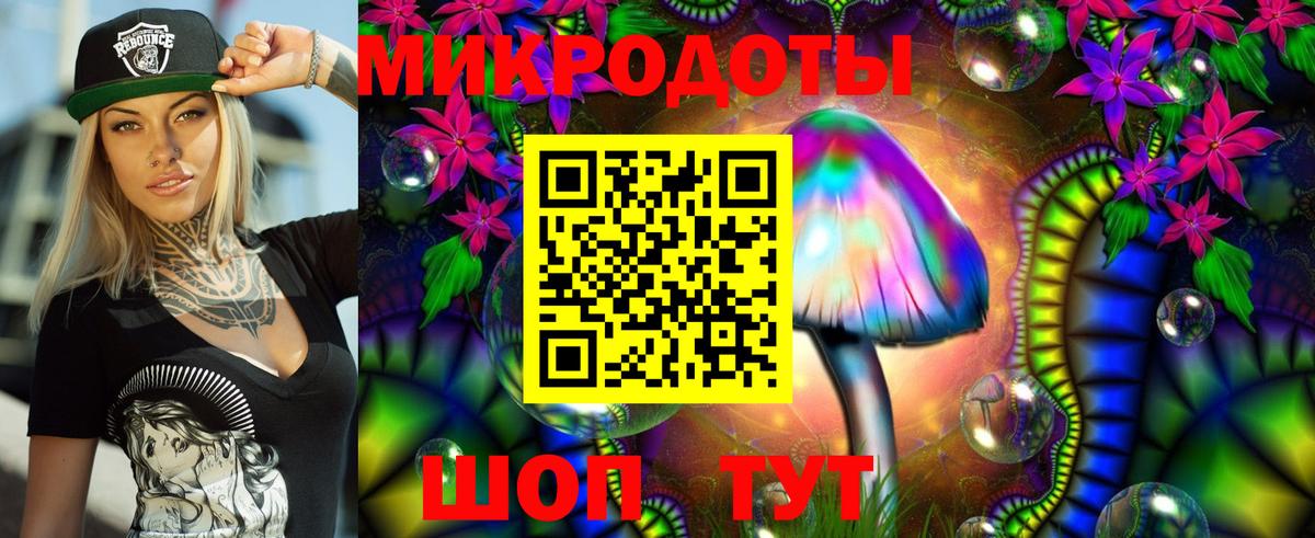 Волоколамск  Псилоцибиновые грибы прущие грибы  Вход с VPN 