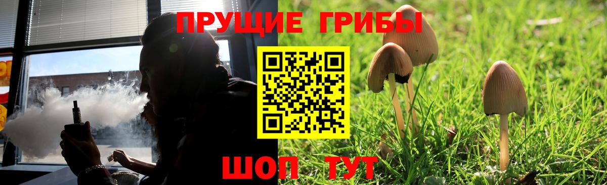 Псилоцибиновые грибы прущие грибы Волоколамск